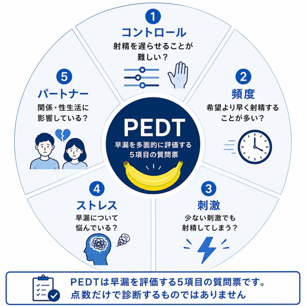 PEDTで確認する射精コントロール・頻度・刺激・ストレス・パートナーへの影響