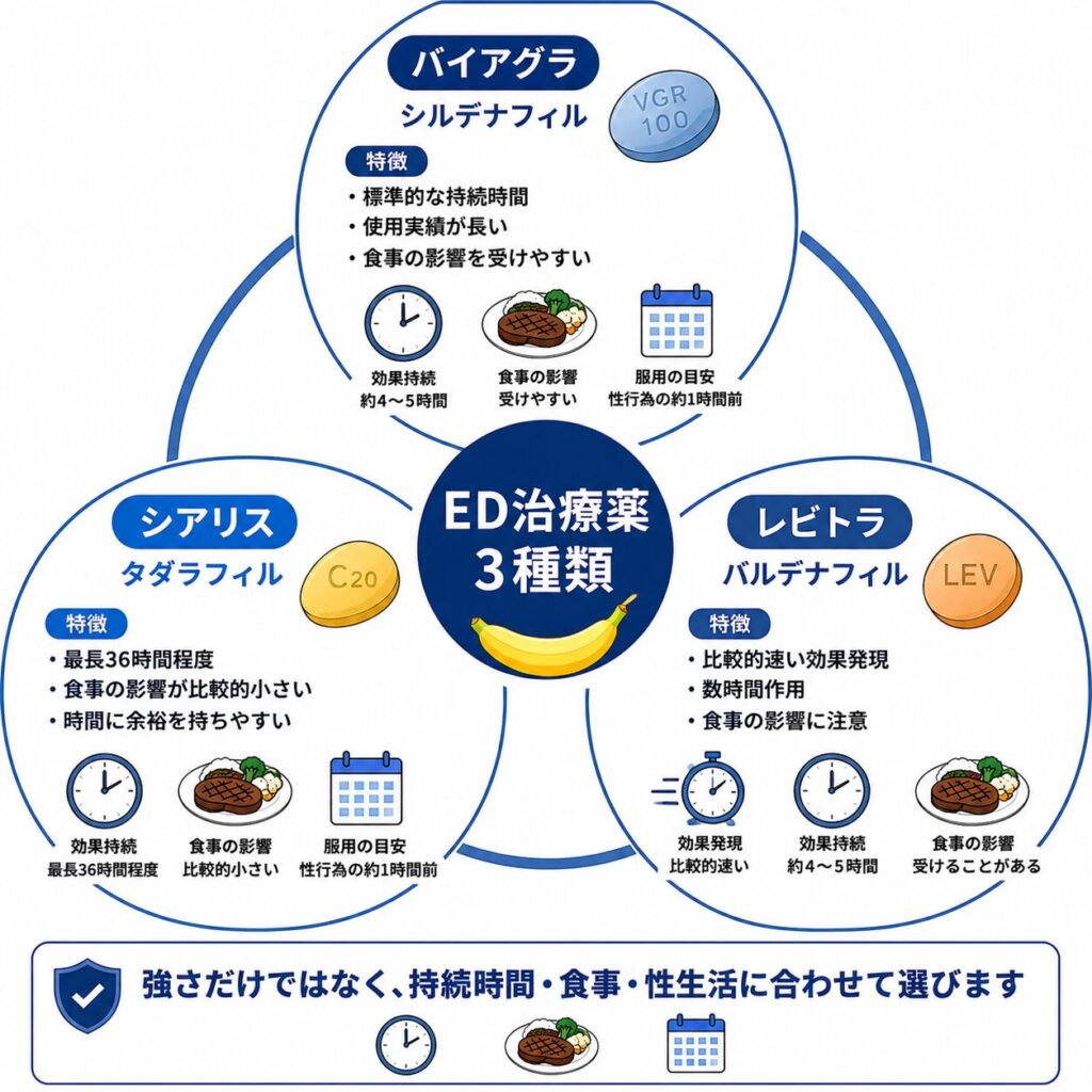 バイアグラ・シアリス・レビトラの効果時間や食事への影響の違い
