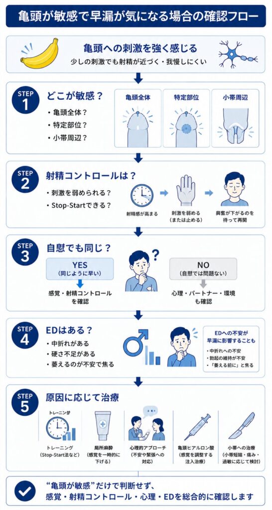 亀頭が敏感で早漏が気になる場合に感覚・射精コントロール・心理・EDを確認する流れ