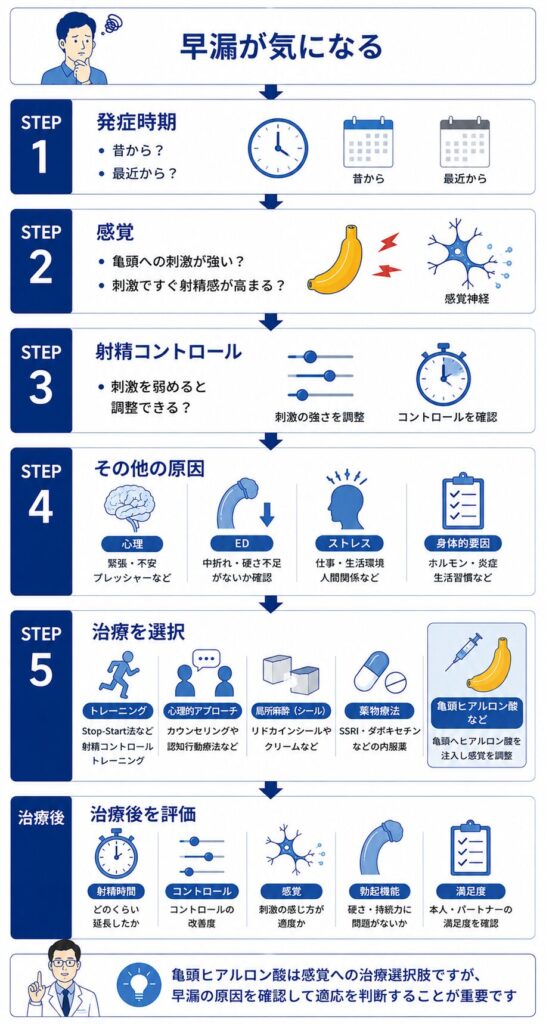 亀頭の感覚や射精コントロール、心理、EDを確認して亀頭ヒアルロン酸などの早漏治療を選択する流れ