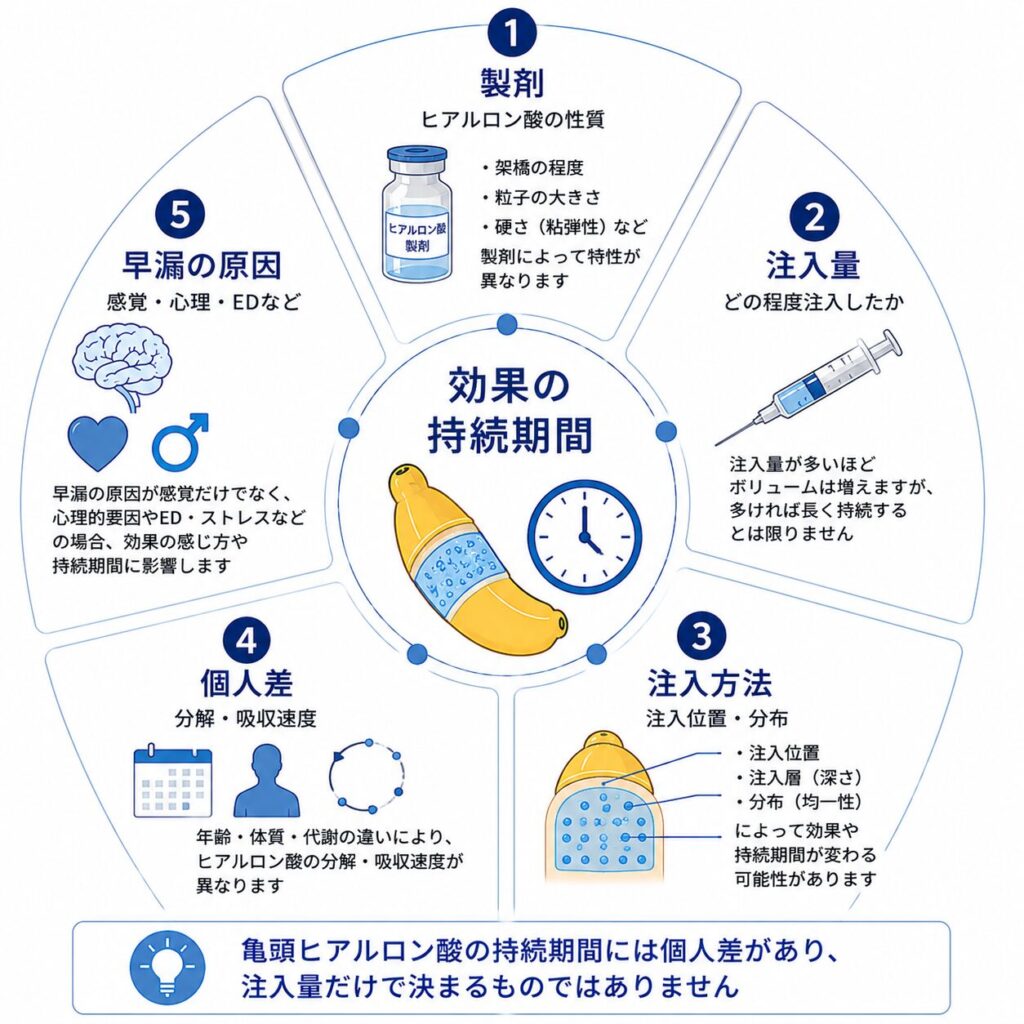 亀頭ヒアルロン酸の持続期間に影響する製剤・注入量・注入方法・個人差・早漏の原因