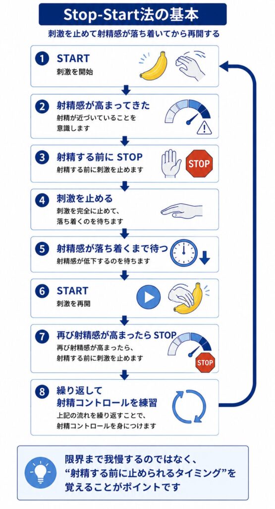 刺激を止めて射精感が落ち着いてから再開するStop-Start法の基本的な流れ