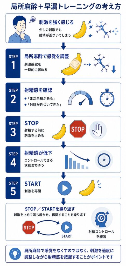 局所麻酔で刺激感覚を調整しながらStop-Start法で射精コントロールを練習する流れ