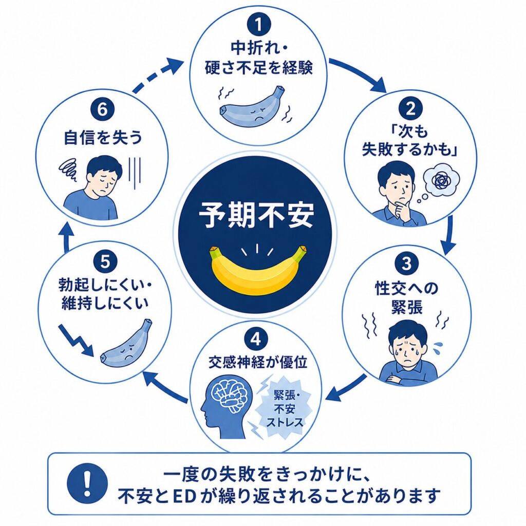 性交への予期不安によって若年性EDが繰り返される仕組み