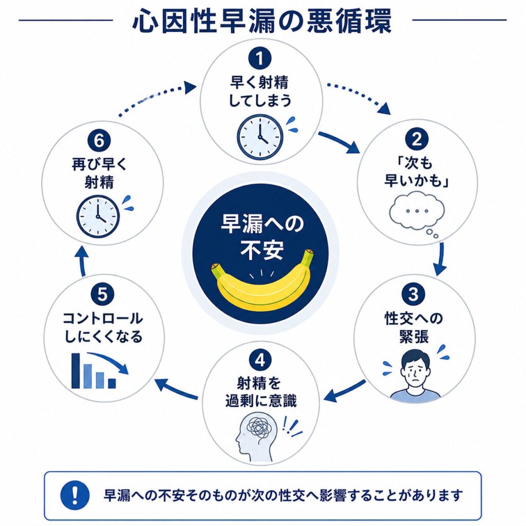 性交への緊張や予期不安によって早漏が繰り返される悪循環