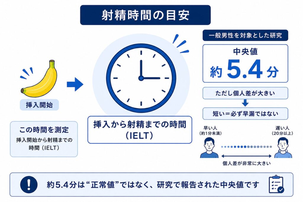 挿入から射精までの時間IELTの中央値が約5.4分と報告された研究結果