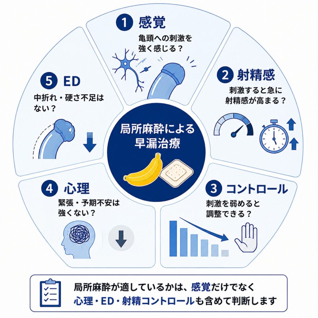 早漏に局所麻酔を検討する際に確認する亀頭の感覚・射精感・コントロール・心理・ED