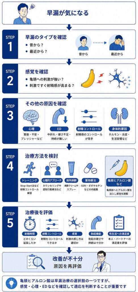早漏の原因と亀頭の感覚を確認して亀頭ヒアルロン酸などの治療を検討する流れ