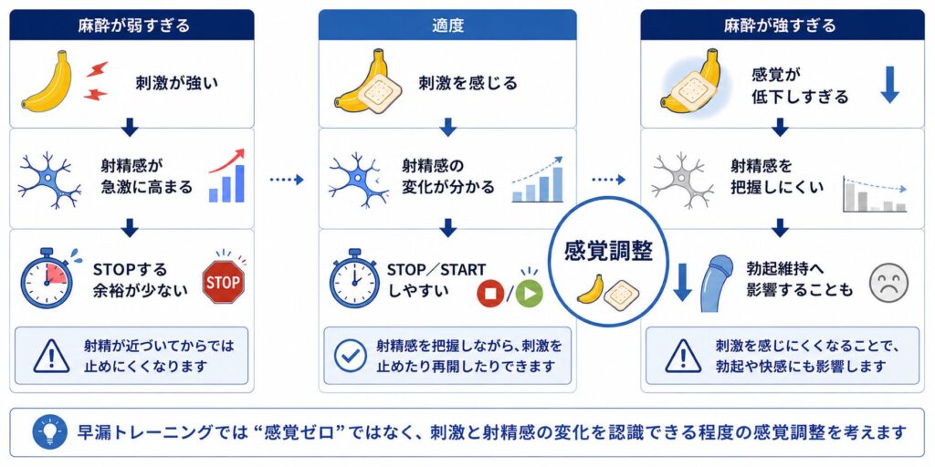 早漏トレーニングで局所麻酔が弱すぎる場合・適度な場合・強すぎる場合の感覚の違い