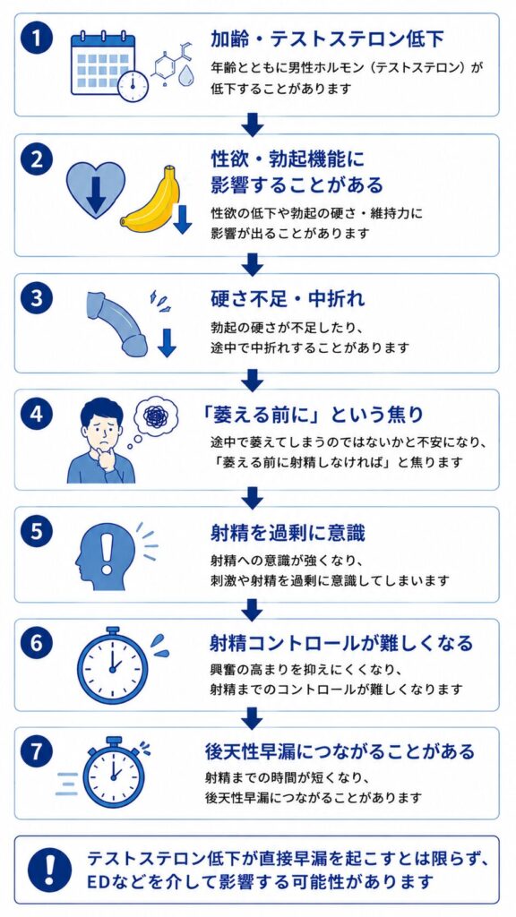 男性更年期やテストステロン低下に伴うEDや焦りが射精コントロールへ影響する流れ
