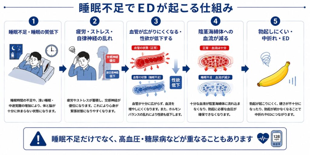 睡眠不足によって自律神経や血管機能が乱れEDが起こる仕組み