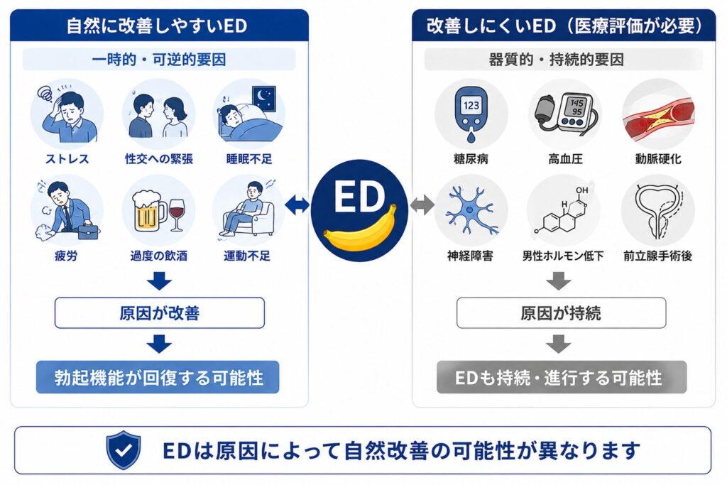 自然に改善しやすいEDと医療評価が必要なEDの違い