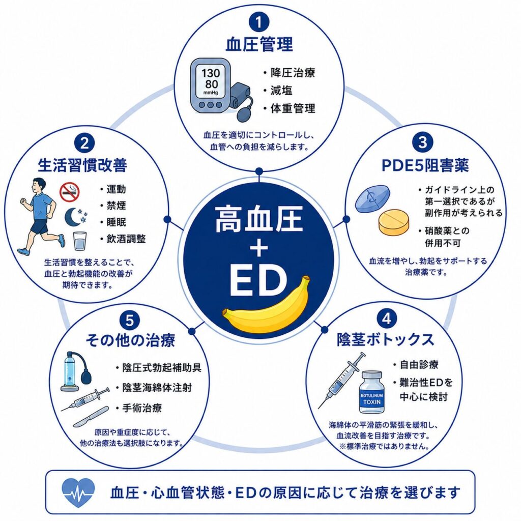 高血圧に関連するEDの血圧管理・薬物療法・陰茎ボトックスなどの治療選択