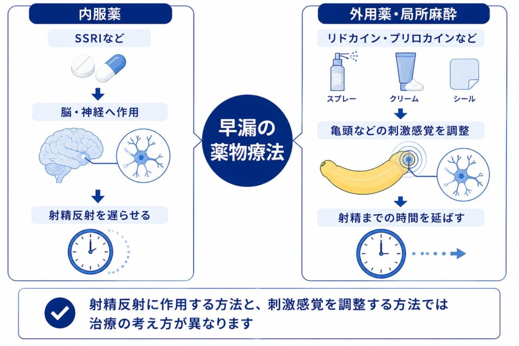 早漏の内服薬と外用薬・局所麻酔の作用の違いを比較する図